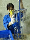 Women working in the chemical factory