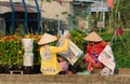 Women working at the flower garden in Sadek, Vietnam Royalty Free Stock Photo