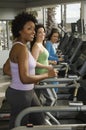 Women Working Out On Treadmill Royalty Free Stock Photo