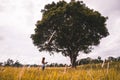 Women write notes Nature trails, mountains, forests. Writer. Asian women Royalty Free Stock Photo