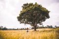 Women write notes Nature trails, mountains, forests. Writer. Asian women