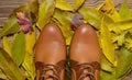 Women& x27;s boots made of brown leather against the background of yellow fallen leaves Royalty Free Stock Photo
