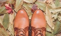 Women& x27;s boots made of brown leather against the background of yellow fallen leaves. Royalty Free Stock Photo