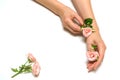 Women& x27;s fashion hands with natural cosmetics, pink roses beautiful flowers