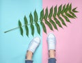 Women& x27;s legs in tight, torn jeans, sneakers,fern leaf on pink blue pastel background. Top view, botanical style