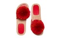 Womens boots and shoes. Top view of a pair women slipper with red pompoms isolated on a white background. Fashion of sandals