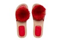 Womens boots and shoes. Top view of a pair women slipper with red pompoms isolated on a white background. Fashion of sandals