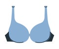 Womens clothes and accessories, bra for breasts