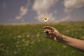 Womens day, mothers day, beauty. Summer, love, new life, skincare spa woman hold flower in blossoming field spring Royalty Free Stock Photo