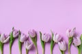 Womens day or mothers day greeting card. Fresh beautiful lilac tulip flowers top view Royalty Free Stock Photo