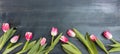 Womens day. Pink tulips on blue background, copy space, top view, banner Royalty Free Stock Photo