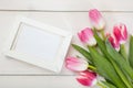 Womens day. Pink tulips and a white blank frame on white background, copy space, top view Royalty Free Stock Photo