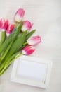 Womens day. Pink tulips and a white blank frame on white background, copy space, top view Royalty Free Stock Photo