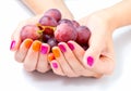 Womens hands holding branch of red grape
