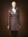 Womens jacket isolated on a brown background