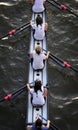 Womens rowing team