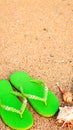 Womens sandals at the beach on the shoreline.