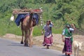 Rebari women colorful traditional dress traditional bangles donkey camel children family road India