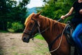 wonam riding dark horse at summer green forest