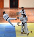 Wondeful scene of Taekwondo competiton Royalty Free Stock Photo