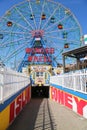 Wonder Wheel at the Coney Island amusement park