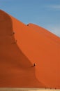 Wonderer on dune 45 Royalty Free Stock Photo