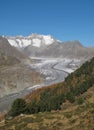 Wonderful Aletschgletscher