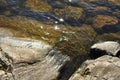 Wonderful algae scenery in transparent water. Bright green colours on rocks underwater. Peaceful waterfront seascape