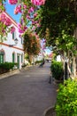 Wonderful alley with colorful flowers in Puerto De Mogan