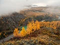 Wonderful alpine landscape with mountain river Argut in valley with forest in autumn colors on background of foggy mountains