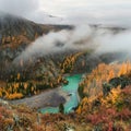 Wonderful alpine landscape with mountain river Argut in valley with forest in autumn colors on background of foggy mountains
