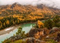 Wonderful alpine landscape with mountain river Argut in valley with forest in autumn colors on background of foggy mountains