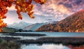 Wonderful Alpine Landscape in Sunny day. Colorful Autumn scene. Picture of wild area. Stunning Scenery during sunset