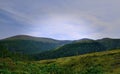 Wonderful alpine meadows