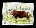 Wonderful Animal postage stamps