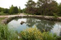 Wonderful artificial pond in city park Royalty Free Stock Photo