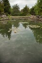 Wonderful artificial pond in city park Royalty Free Stock Photo