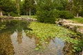 Wonderful artificial pond in city park Royalty Free Stock Photo