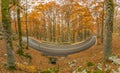 The wonderful Autumn colors of Abruzzo, Lazio and Molise National Park, Italy Royalty Free Stock Photo