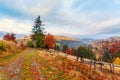 Wonderful autumn hillside in Transylvania