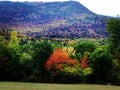 Wonderful Autumn Landscape in France