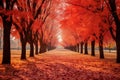 Wonderful autumn, landscape in large park