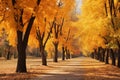 Wonderful autumn, landscape in large park