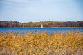 Wonderful autumn landscape with reeds and lake