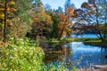 Wonderful autumn landscape with reeds and lake Royalty Free Stock Photo