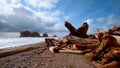 The wonderful beach of La Push at the Quileute Reservation - travel photography Royalty Free Stock Photo