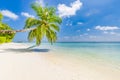 Wonderful beach scenery. Palm tree with swing, summer day, tropical landscape. Vacation and holiday beach concept