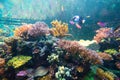 Wonderful and beautiful underwater world with corals and tropical fish. Royalty Free Stock Photo