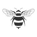 Wonderful bee black and white design isolated on a white background Royalty Free Stock Photo