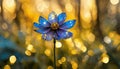 Wonderful blue flower in a fairy meadow with golden lights around